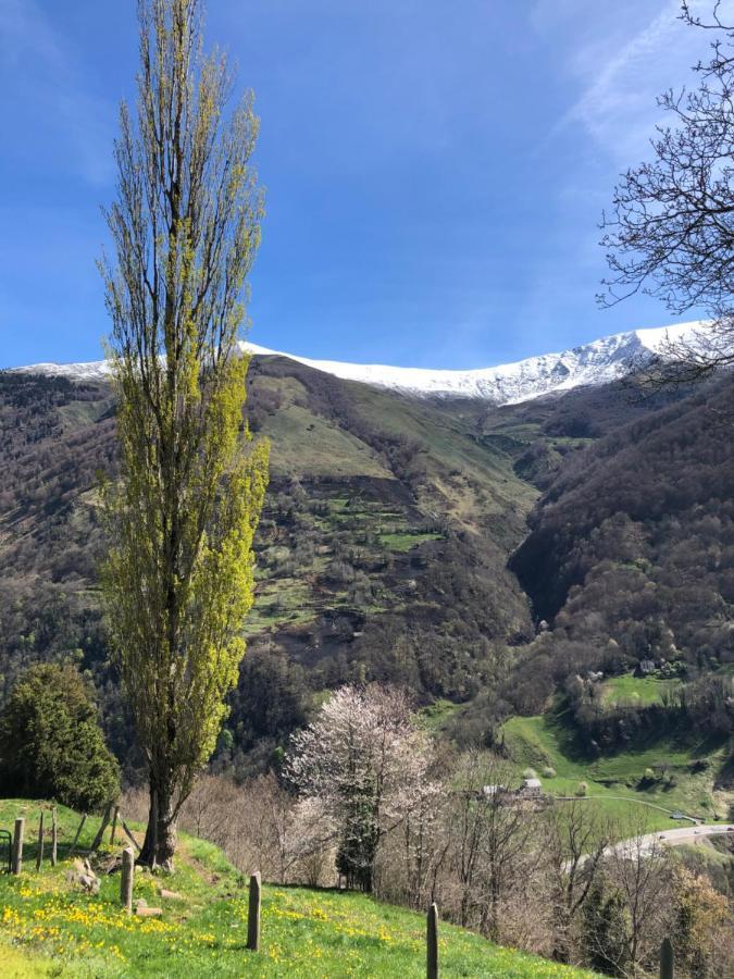 Maison De Montagne Borce ภายนอก รูปภาพ